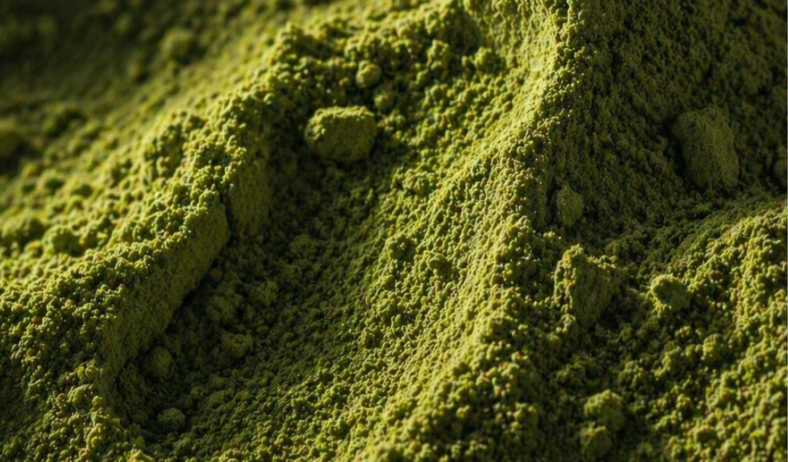 Tudo o que precisa de saber sobre matcha