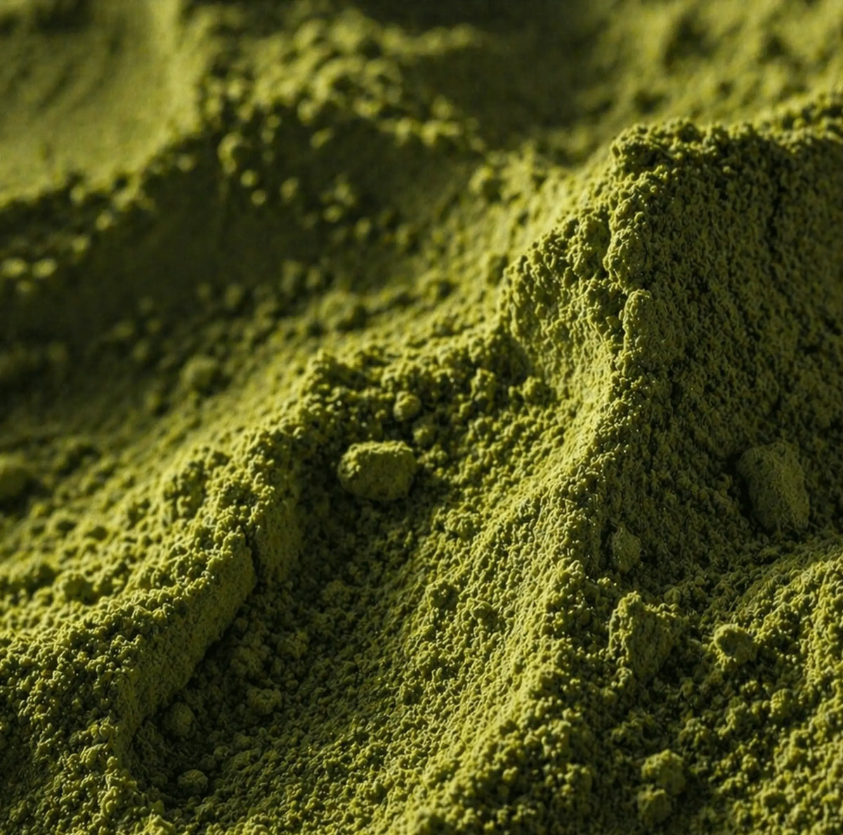 Matcha autêntico biológico japonês